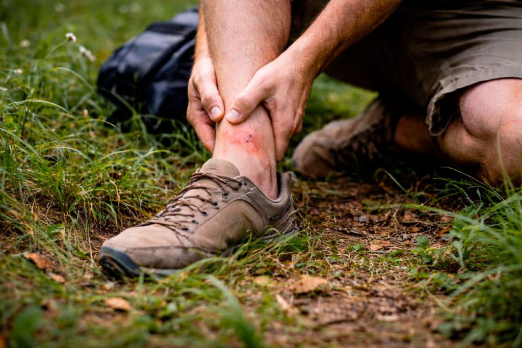 Первая помощь при укусе змеи до приезда скорой